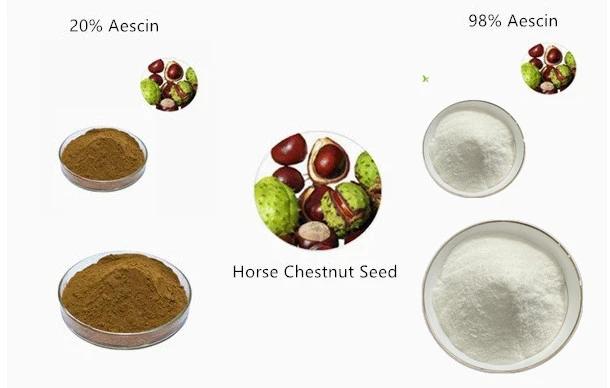 Aescin Powder.jpg